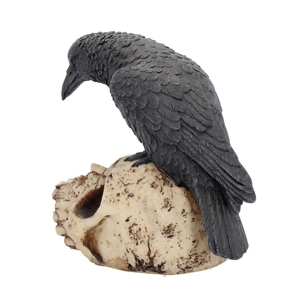 Amazon.com: Nemesis Now Ravens Remains Figurine 13cm, Crow Skull